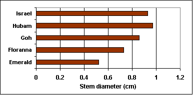Stem diameter of individual plants for different sweetclover varieties